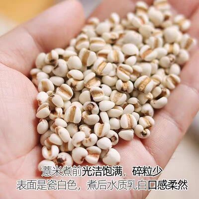 新货薏米仁颗粒饱满易煮软糯薏米农家自产精选薏米仁无杂质