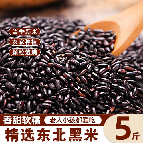 东北黑米新米杂粮正宗香米五谷杂粮糙米饭黑米饱满5斤装农家自产