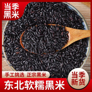 当季农家自产黑米东北软糯优质黑米杂粮煮粥五谷杂粮黑香米早餐粥