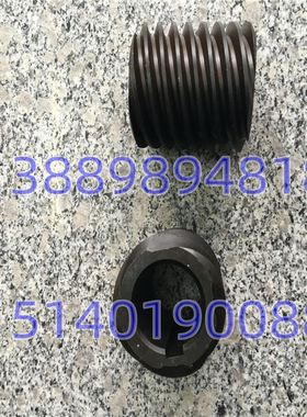 。天水安阳沈阳机牀配件 CW61100B CW61125B 溜板箱 蜗杆 车牀配