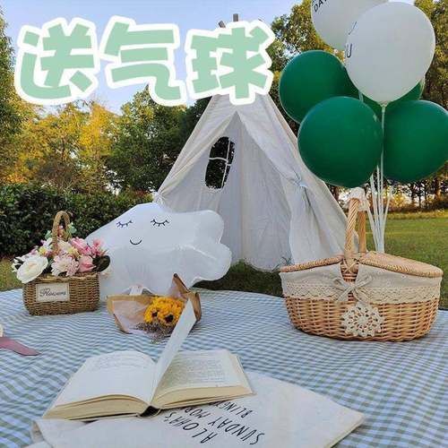 Picnic blankset e CHUNYOU picnic blanket outdoor picnic flo