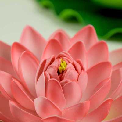 假荷花仿真花池塘漂浮水池水面造景鱼缸装饰睡莲荷叶供佛仿真摆件