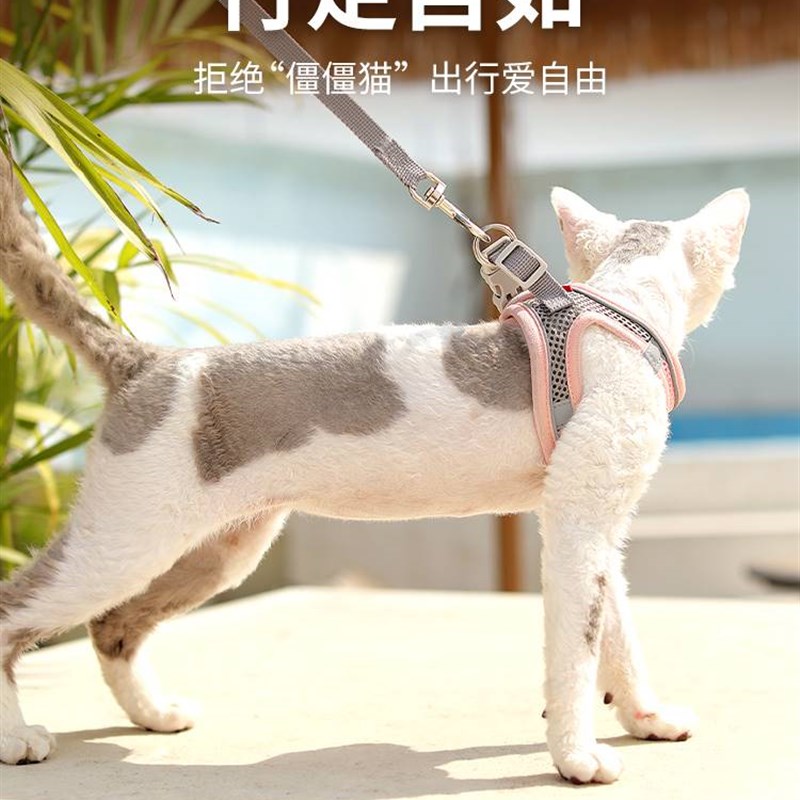 猫咪牵引绳外出猫链子可调节防挣脱溜猫专用猫绳子夏季透气幼猫猫