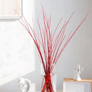 进口红瑞木鲜切枝红柳鲜花云南直发室内水培植物家用插花年宵花