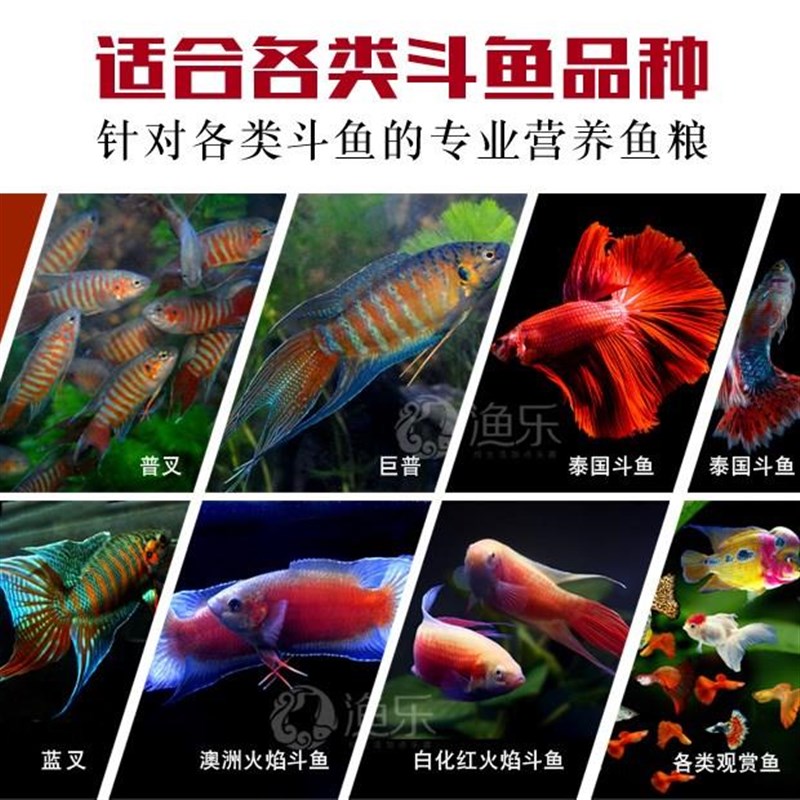 斗鱼饲料增红增色高蛋白上浮小颗粒小型鱼鱼粮不浑水金鱼热带鱼料