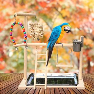 Solid Wood Pet Parrot Playstand Bird Playground Bird