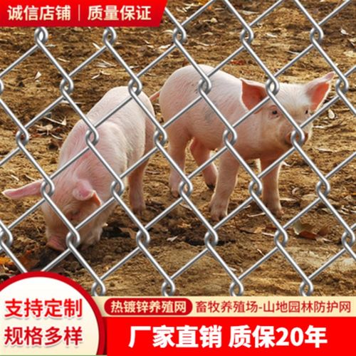 镀锌铁丝网围栏养殖鸡鸭防护网格勾花网养狗护栏钢丝网牛羊隔离网