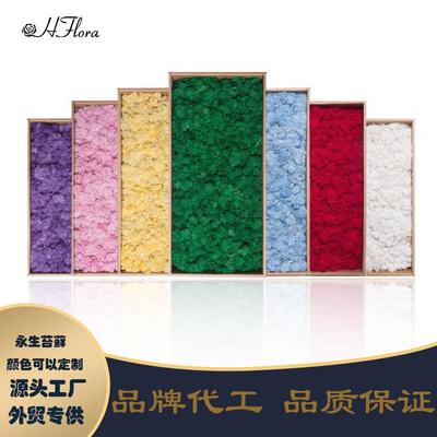 永生花驯鹿苔藓景观造景块状苔藓酒店装饰公司背景墙青苔DIY材料