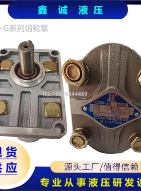 厂销齿轮泵CBNF314 CBNF316 CBNF318 CBNF320 CBNF325 液压油泵品