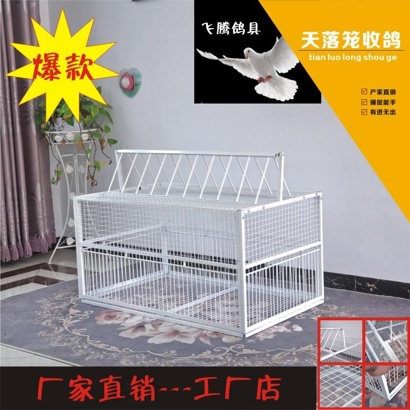 天落笼只进不出鸽子鸟笼跳笼铁笼撞门自动收鸽笼神器鸽子笼