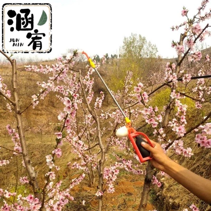 授粉神器梨树授粉神器人工授粉农用果树点花器花粉工具Y黄瓜大樱