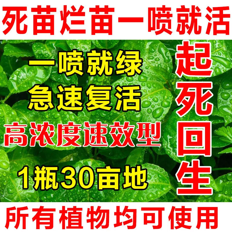 发财树复活液大树复活灵改善烂根烂苗黄叶枯树死树树木大树营养液