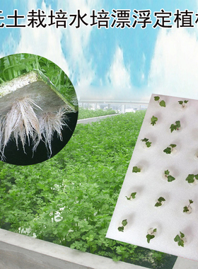 水培蔬菜漂浮定植板无土栽培种菜EVA海绵定植篮海棉固定浮板育苗