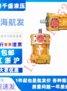 上海航发NT2-G10FG12FG16FNT3-G20FG25FG32F内啮合齿轮泵