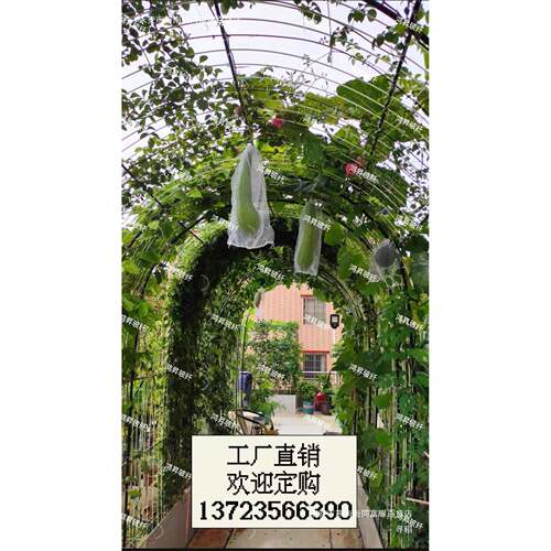 育苗小拱棚支架MM实心玻璃纤维杆大棚支架拱棚扶苗植物爬杆搭架