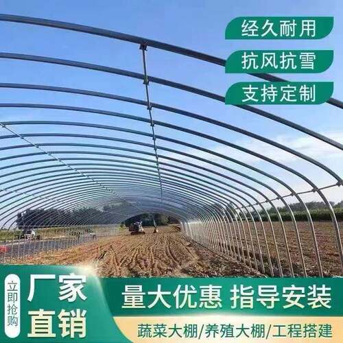 种植大棚大棚骨架养殖大棚鸡棚养猪棚蔬菜大棚花卉棚温室大棚全套