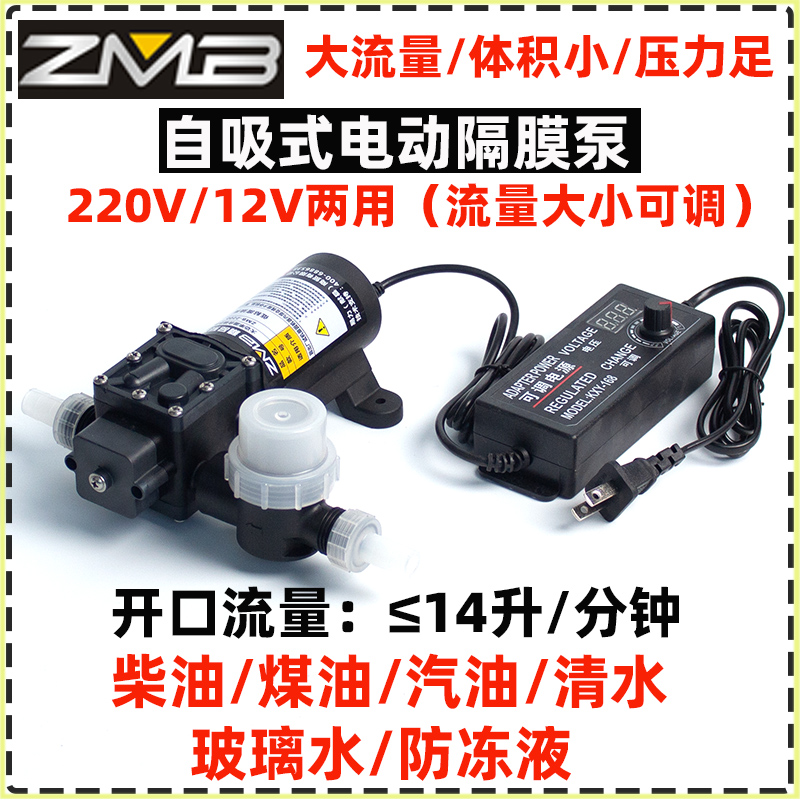 汽车油箱电动抽油泵抽油神器12v24VE220V抽油泵汽油柴油自吸泵水-封面