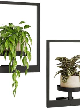 墙壁植物架壁挂式花盆室内室外花架墙壁装饰花卉展示架置物架