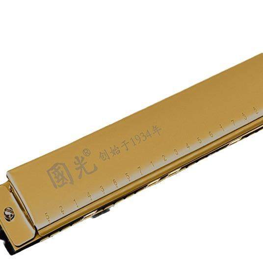 口琴28孔复音重音c调宽音域口琴初学者儿童入门学生自学