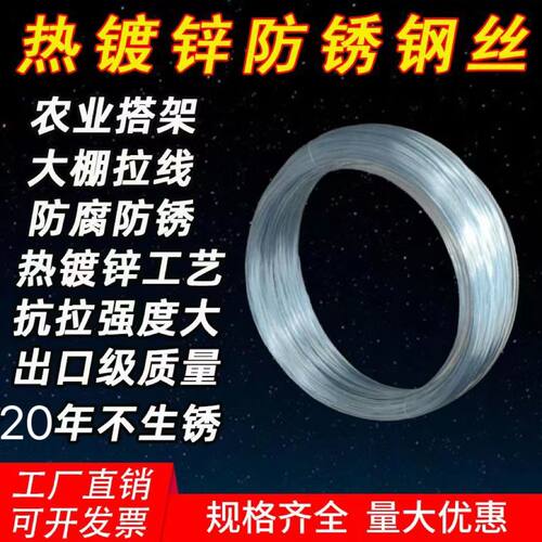 热镀锌钢丝16号12号10号防锈钢丝大棚专用拉线搭架