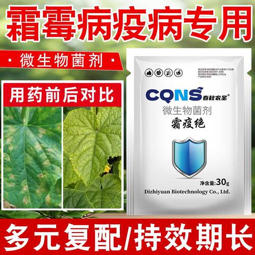 霜疫绝菌剂辣椒西红柿强杀菌有效霜霉微生疫病增抗性持久春秋