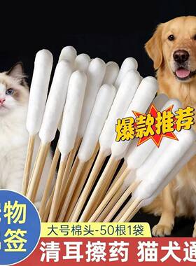 宠物棉签大头单头耳朵消毒清洁