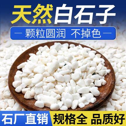 小白石子多肉铺面石头养花鹅卵石雨花石鱼缸造景盆栽庭院水培铺底