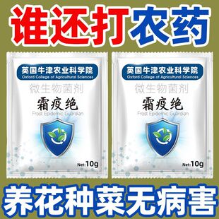 霜疫绝菌剂辣椒西红柿强杀菌有效霜霉微生疫病增抗性持久春秋