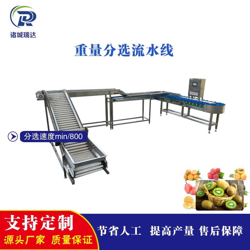 全自动柑橘橙子重量分选
