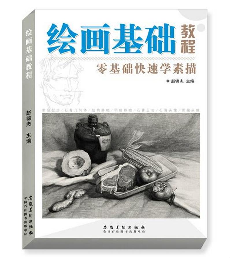 正版书籍绘画基础教程零基础快速学素描赵锦杰  编安徽美术出版社