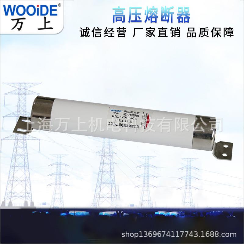 户内10KV限流式熔断器XRNM-12/50-200A插入式固定式76*403母线式