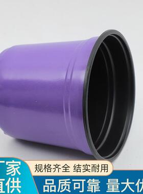 现货加厚双色育苗花盆草莓多肉大号花盆塑料营养多色扦插盆