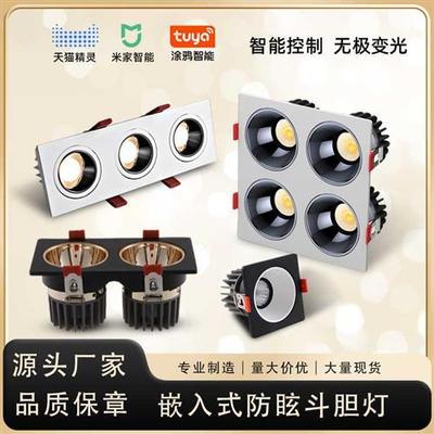 双头方形嵌入式防眩射灯四头简约无主灯智能筒灯三头全光谱斗胆灯