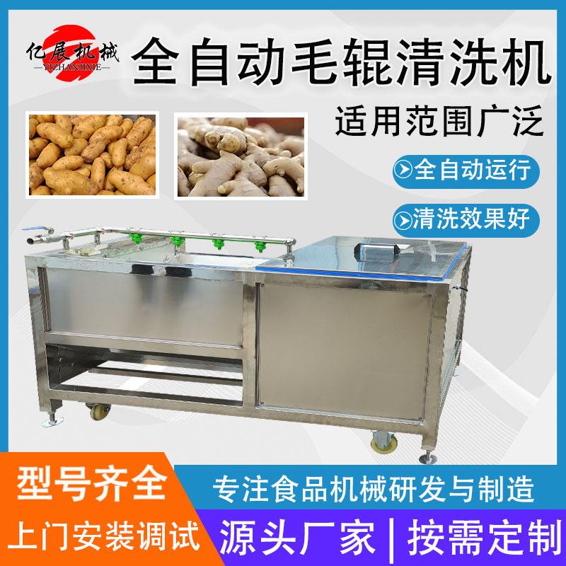 根茎类果蔬毛辊清洗机大姜去皮机海产品扇贝牡蛎去泥机