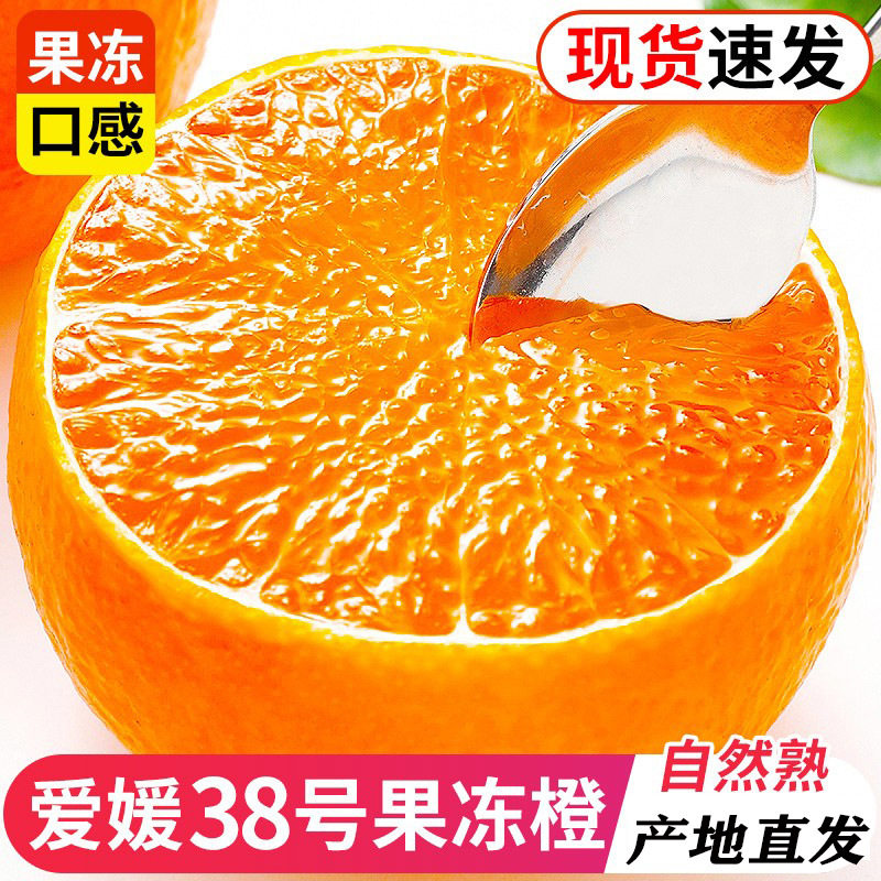 【下单立减50】正宗四川眉山爱媛38号果冻橙新鲜现摘清甜爆汁水果,水产肉类/新鲜蔬果/熟食,橙,淘宝优惠券,粉丝福利购,淘宝优惠卷