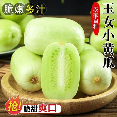 【下单立减50】五斤山东寿光金童玉女小黄瓜现摘现发拇指小黄瓜