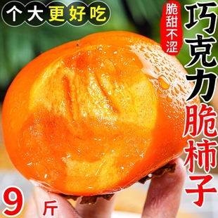 【下单立减50】广西桂林高山甜脆柿子香甜多汁自然熟冰糖心柿子