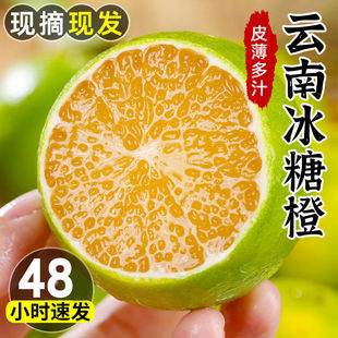 【下单立减50】正宗云南老树金黄冰糖橙新鲜现摘现发皮薄多汁黄皮