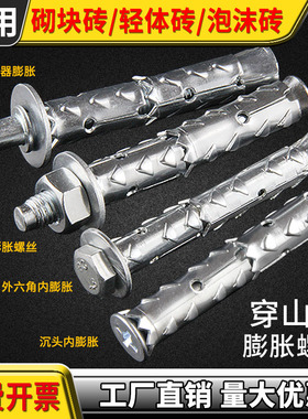 穿山刺膨胀螺丝砌块砖泡沫砖轻体砖加气块专用膨胀螺栓鱼鳞拉爆