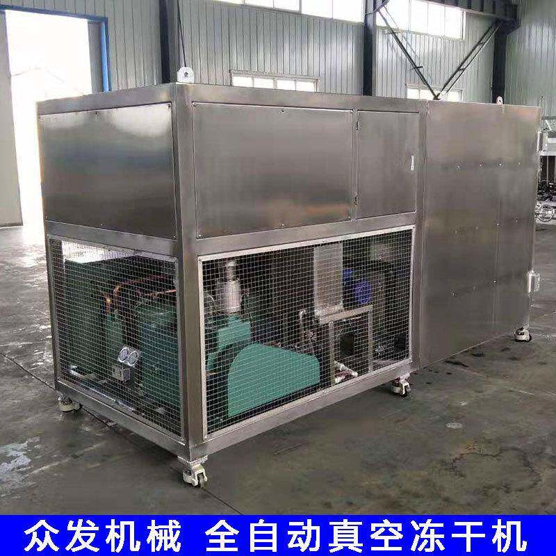 水1-10果蔬菜温脱水设备草莓真空冻干机 冻芒果真低空冷 冻干机器