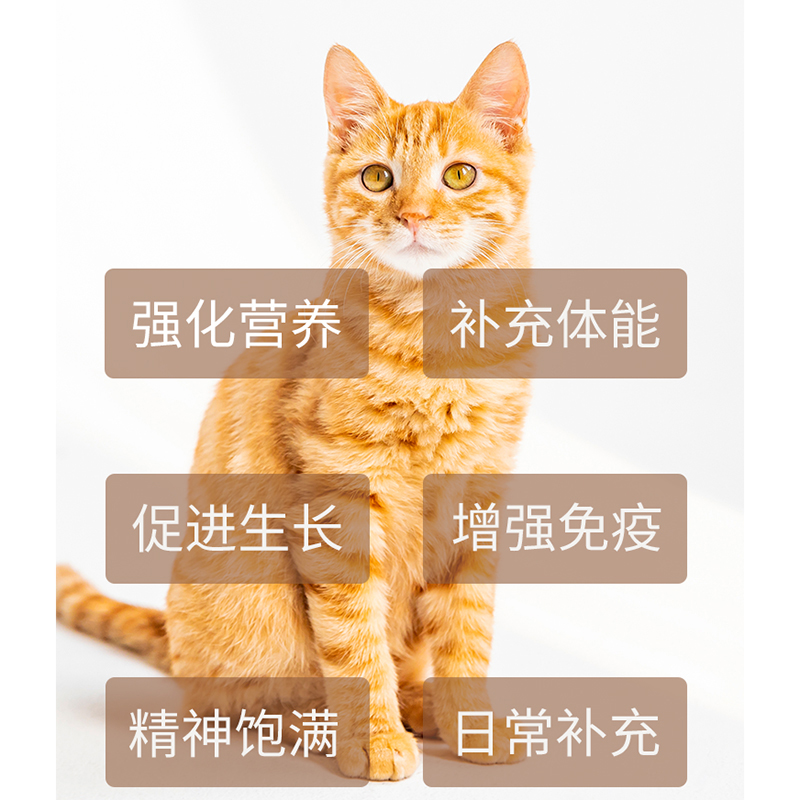 宠宝能猫咪蛋白粉猫提高免疫力增强体质猫咪补充乳铁蛋白质营养品