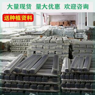 【量大超实惠】淮山种植槽山药种植槽浅生槽加厚`塑料定向槽u型槽