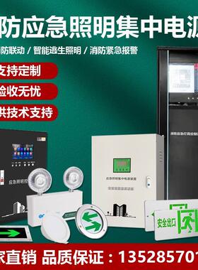 EPS消防应急照明集中电源A型配电箱300W500W1KVA灯具控制分配电箱