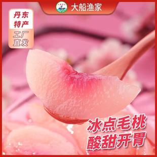 丹东特产冰点毛桃酸甜适中顺丰包邮营养健康夏季清凉解暑清肺润喉