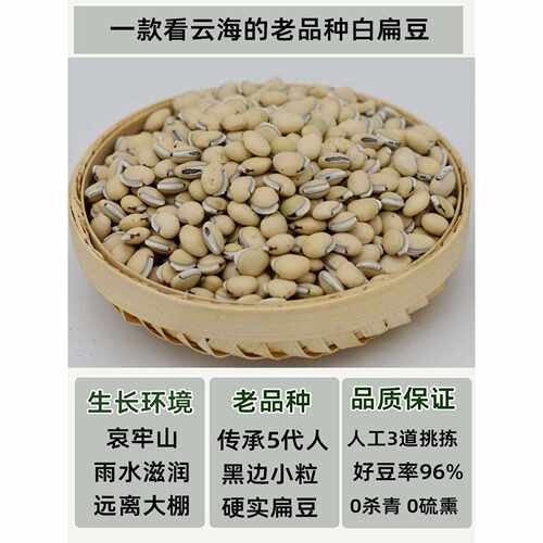 2025云南药用食用白扁豆农场老品种黑边生白扁豆发芽1000g