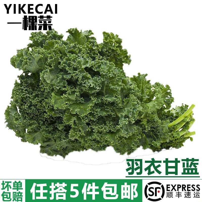 甘兰500g包邮件5kaleyike1嫩叶榨汁健身i羽衣甘蓝新鲜蔬菜ca散装