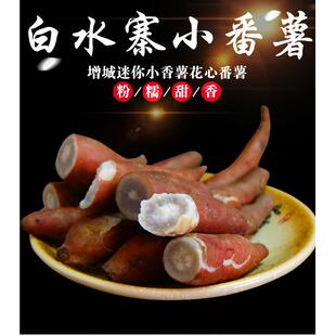 派潭紫薯白薯花心紫心板栗番薯红薯新鲜生地瓜香薯迷你小花心番薯