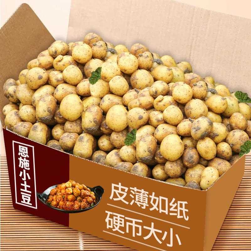 恩施小土豆现挖湖北新鲜黄心土豆当季蔬菜整箱迷你马铃薯洋芋