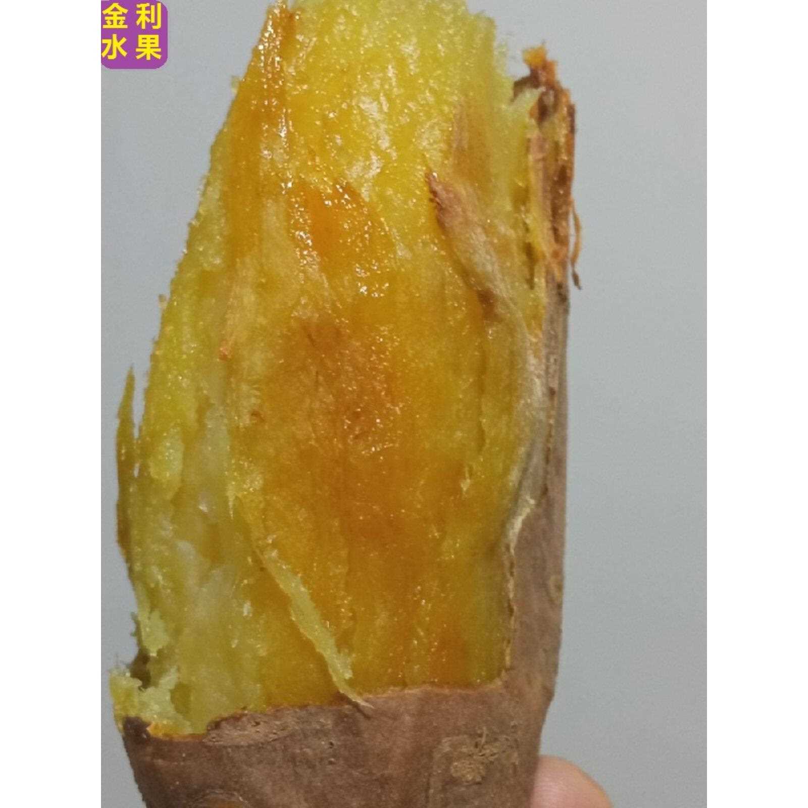 山东威海荣成蜂蜜罐地瓜5斤中果沙地番薯新鲜蜜薯老式红薯5斤