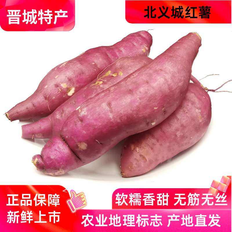 山西晋城北义城红薯5斤老品种农家自种现挖新鲜板栗番薯地瓜特产